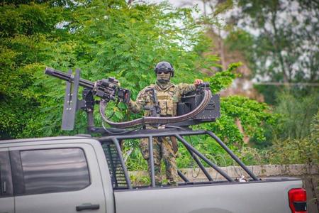 ROLL BAR F-150 2020 GREENLIGHT 1/64 WITH M134 MINIGUN