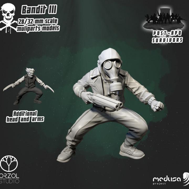 Post-Apo Survivors - Bandit III