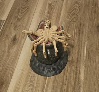 Xenomorph egg deck box