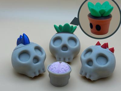 Hairpop Skull