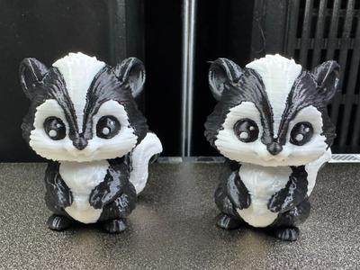 Cute Skunk