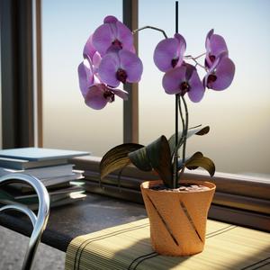 Vortex Edge Pot/Planter/Orchid Pot/Bowl
