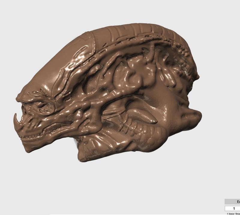 Newborn Alien - Alien Sapien - Head