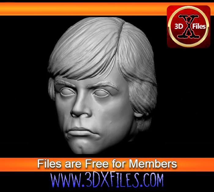Luke Skywalker Action Figure Head Sculpt - Black Series - Hottoys 1:6 Scale