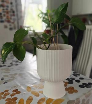 Vase   