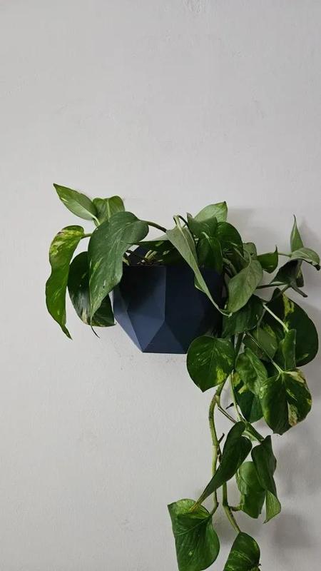 Easy Modern polygon wall planter   