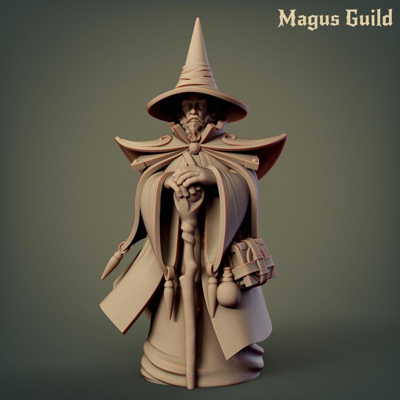 Human Wizard - MG2.7