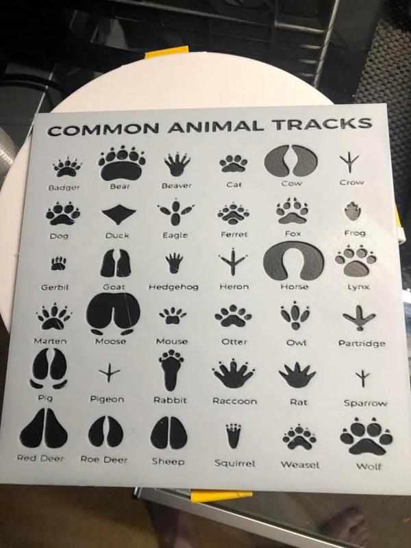 Common Animal Tracks (Hueforge)   