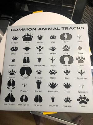 Common Animal Tracks (Hueforge)   