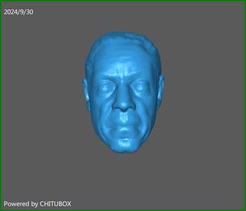 Moff Gideon Mandalorian Style Head