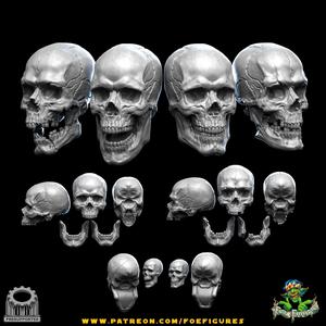 Realistic Human & Vampire Skulls! 4 versions!