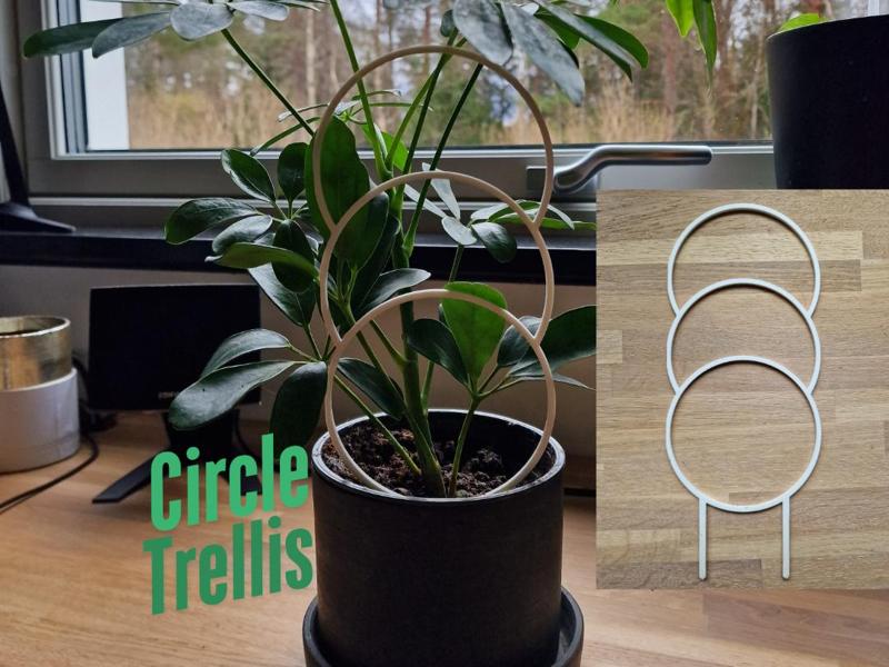 Loop Trellis