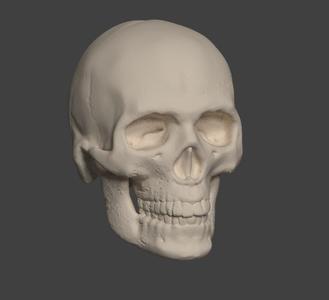 skull halloween