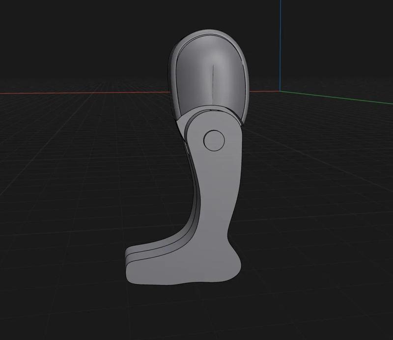 Robotic leg   