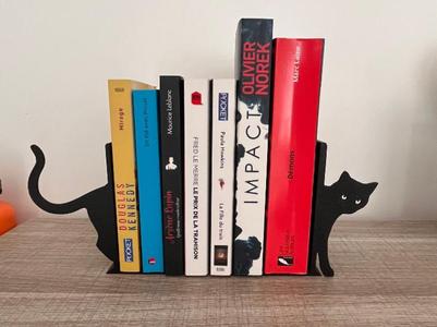Decorative book stand on the cat theme