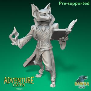 Hissani Wizard Cat - Male