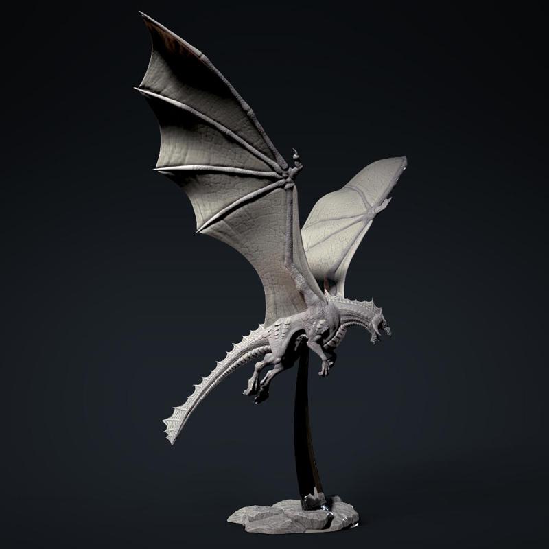 Young black dragon
