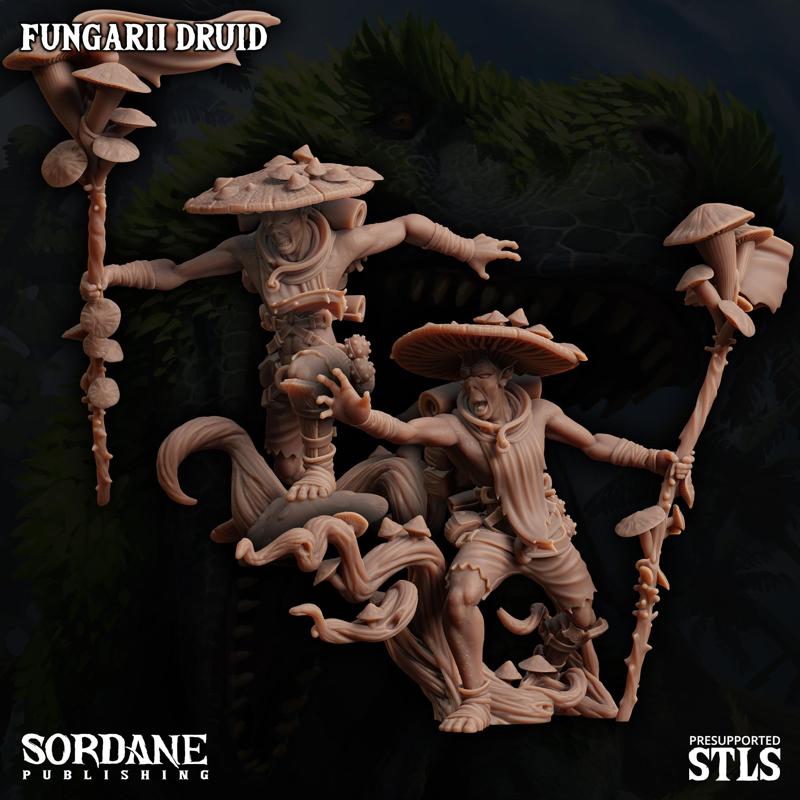 Fungarii Druid