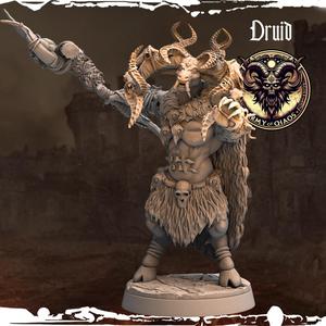 Druid - Army of Chaos: Beasts