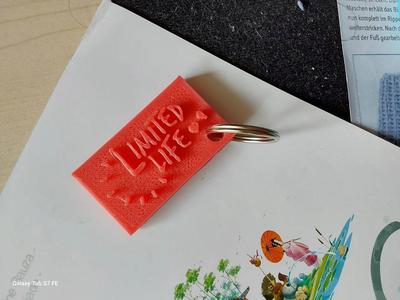 Life Series: Limited Life Keychain   