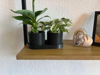 Flower pot with tray   