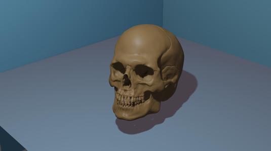 3D Skull