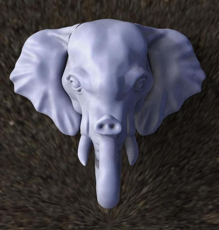 elephant