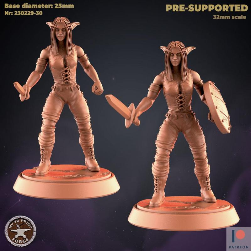 Low Gear Female Warrior Rogue TWO MODELS
