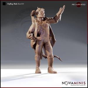 Tiefling Male Bard 01