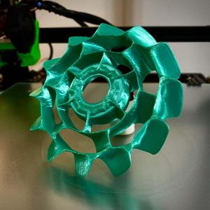 Biomass Fan Design