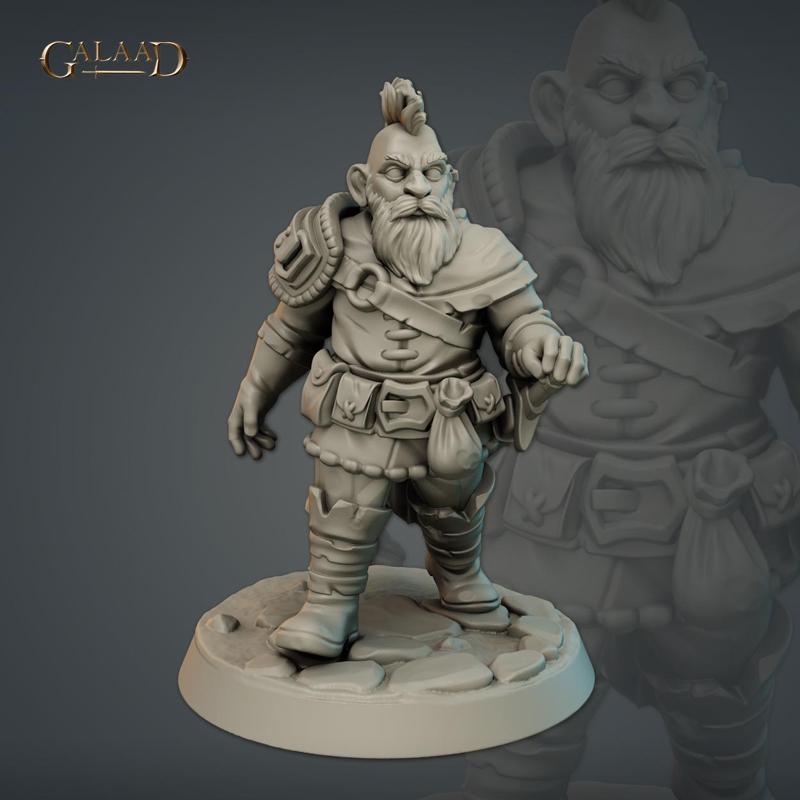 Male Dwarf warrior
