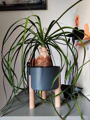 Planter on Stilts