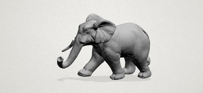 Elephant 01