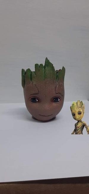 Mate Groot