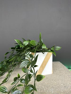Planter