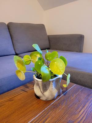 Modern Concrete Mold Planter 90mm | Gießform