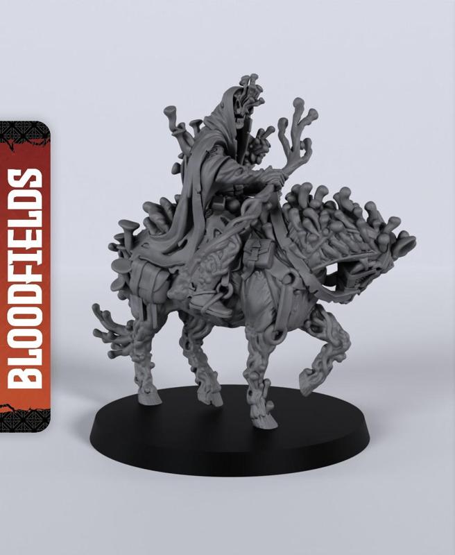 Darr Mushroomancer - With Free Dragon  - 5e DnD Inspired for RPG and Wargamers