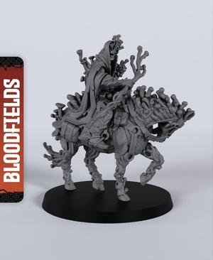 Darr Mushroomancer - With Free Dragon  - 5e DnD Inspired for RPG and Wargamers