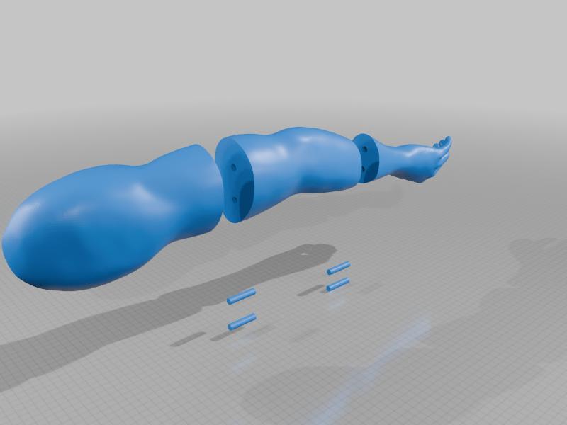 Left Arm of a Mannequin