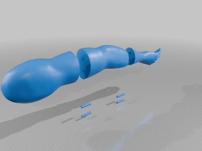 Left Arm of a Mannequin