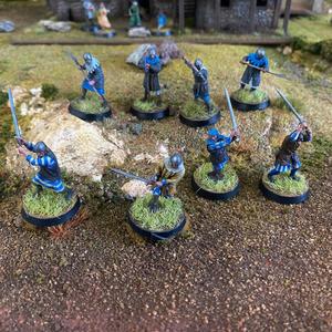 Cygnus Company Reinforcements