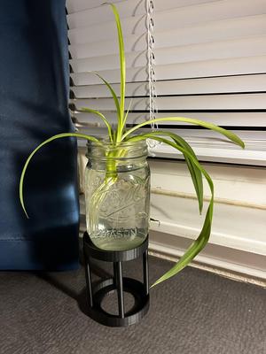 Plant holder with stand