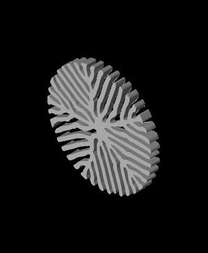 Coral pattern coaster
