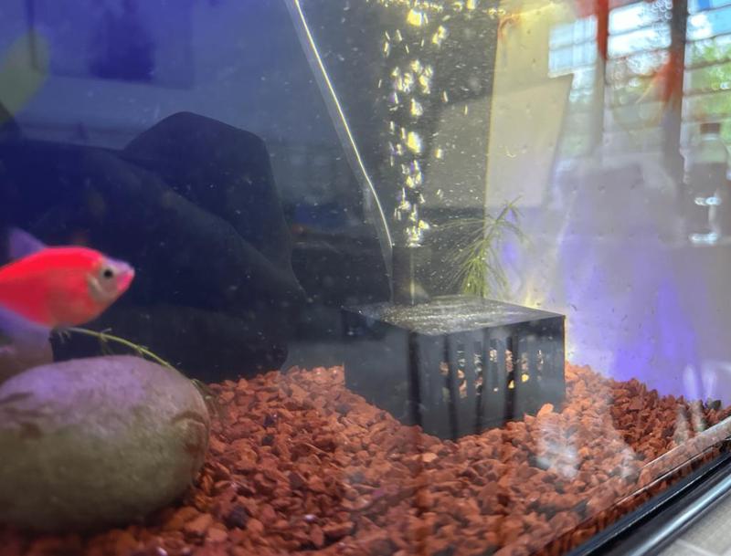 Aquarium Filter, Sponge Filter From Air Pump