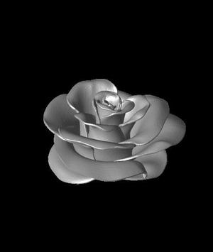 Rose No Stem