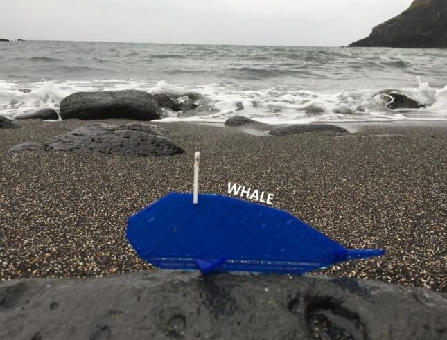 Simple animals 14 - Sea