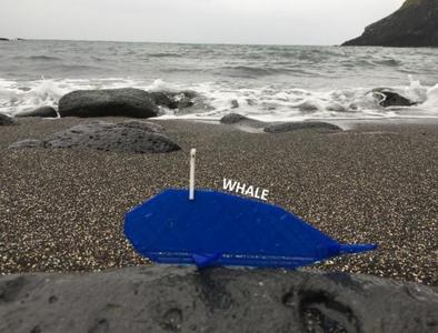 Simple animals 14 - Sea