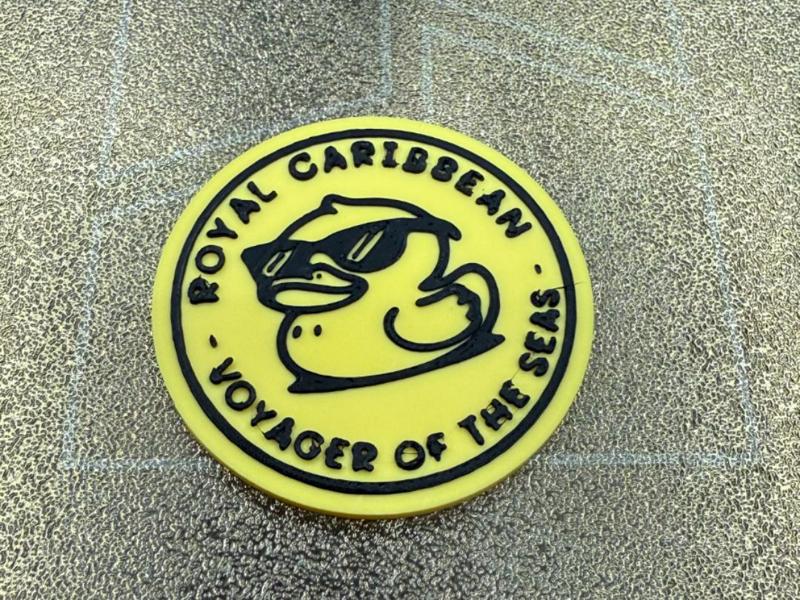 ROYAL CARIBBEAN VOYAGER OF THE SEAS DUCK HUNTING 