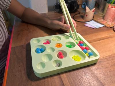 Montessori Sorting Tray
