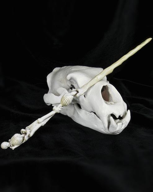 Death Eater's Skeleton Wand - Harry Potter